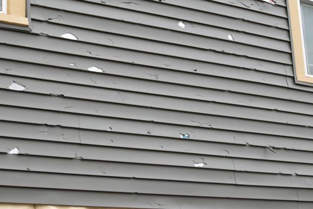 Best Property Management Cleanouts  in Fort Benton, MT